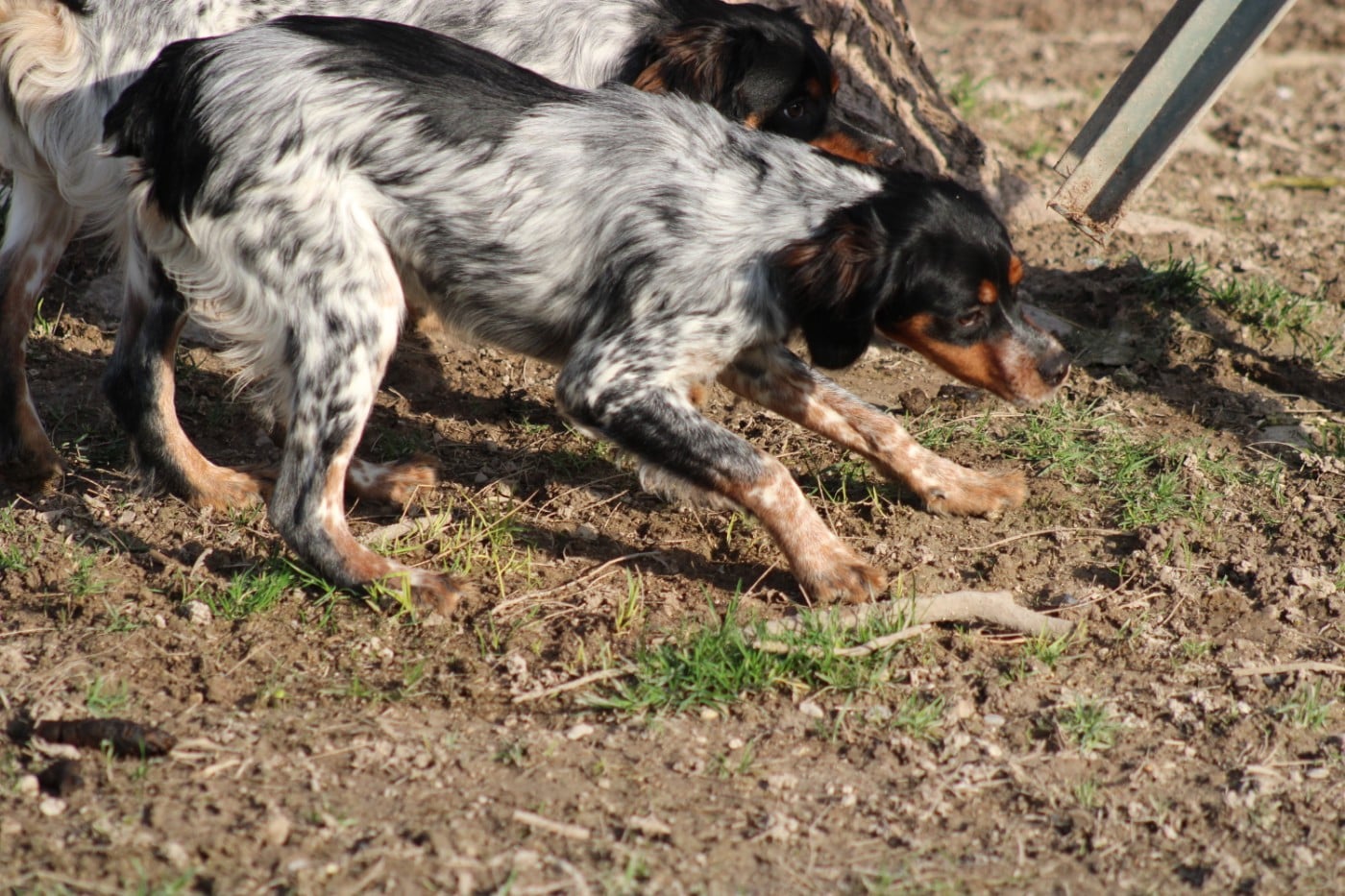 Ava De La Vallée De La Py