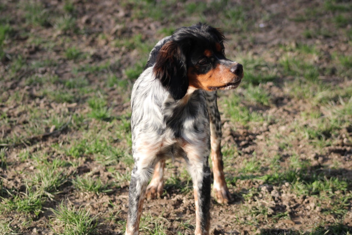 Ava De La Vallée De La Py