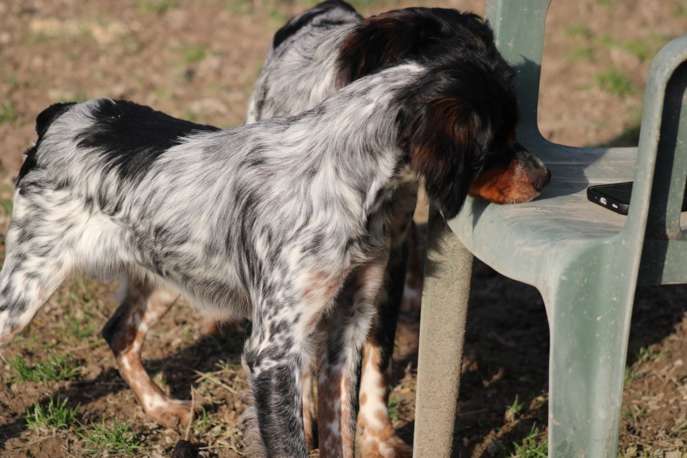 Ava De La Vallée De La Py