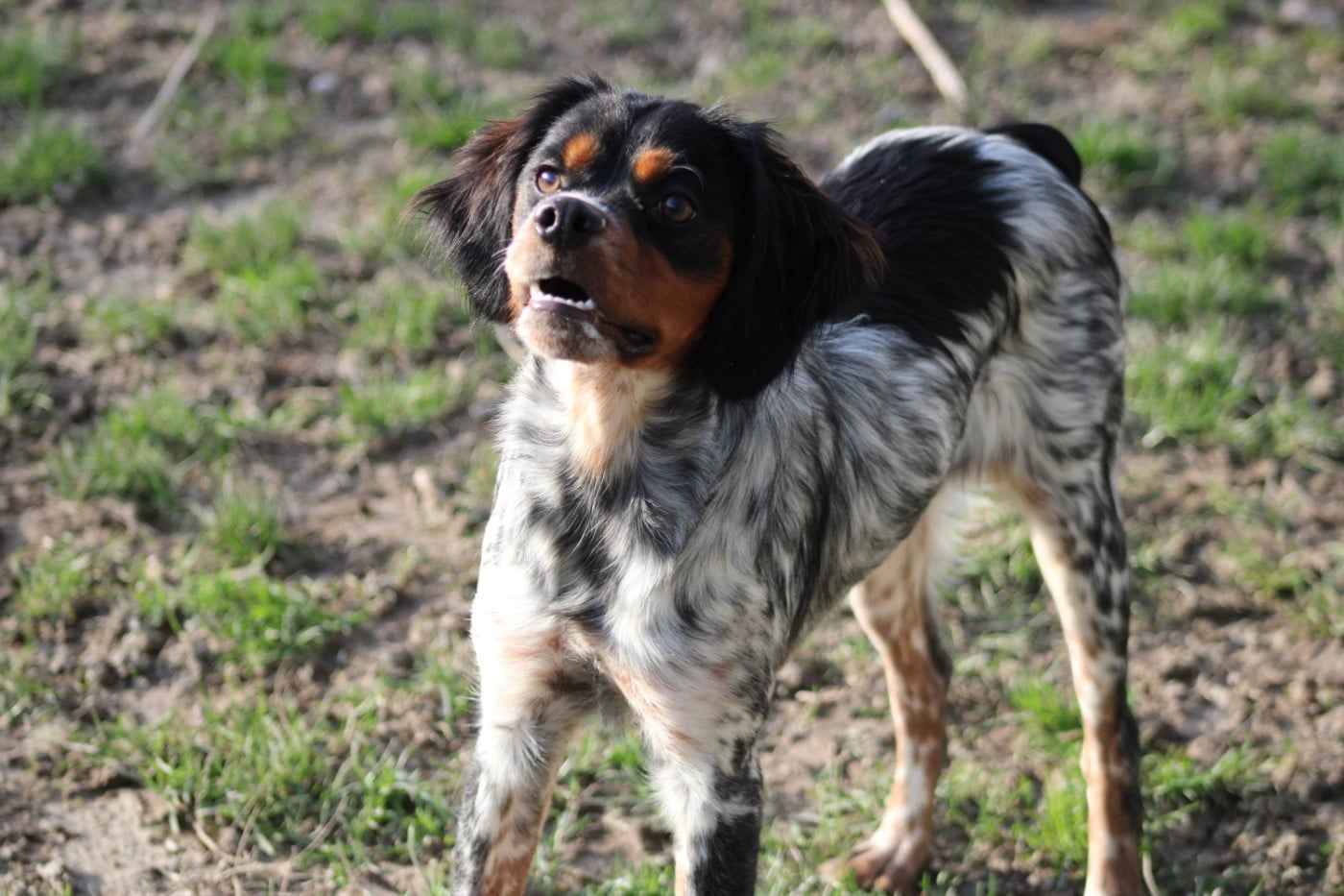 Ava De La Vallée De La Py