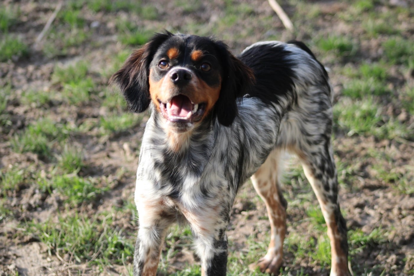 Ava De La Vallée De La Py