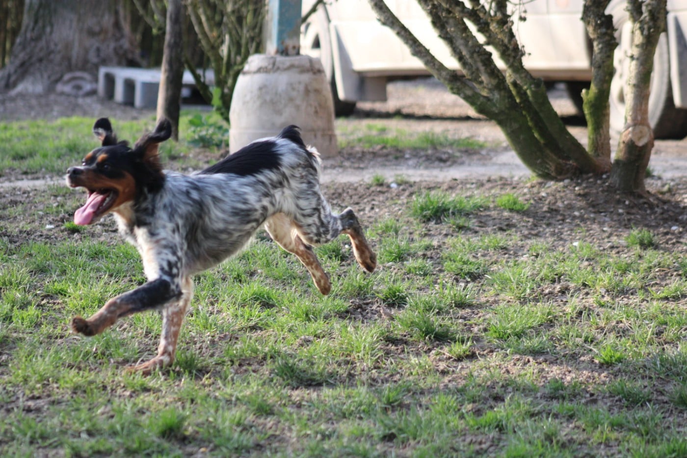 Ava De La Vallée De La Py