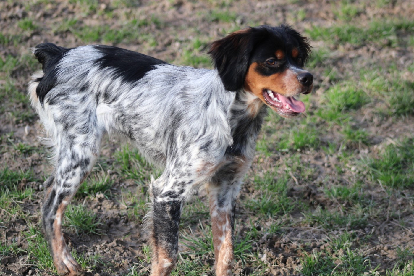 Ava De La Vallée De La Py