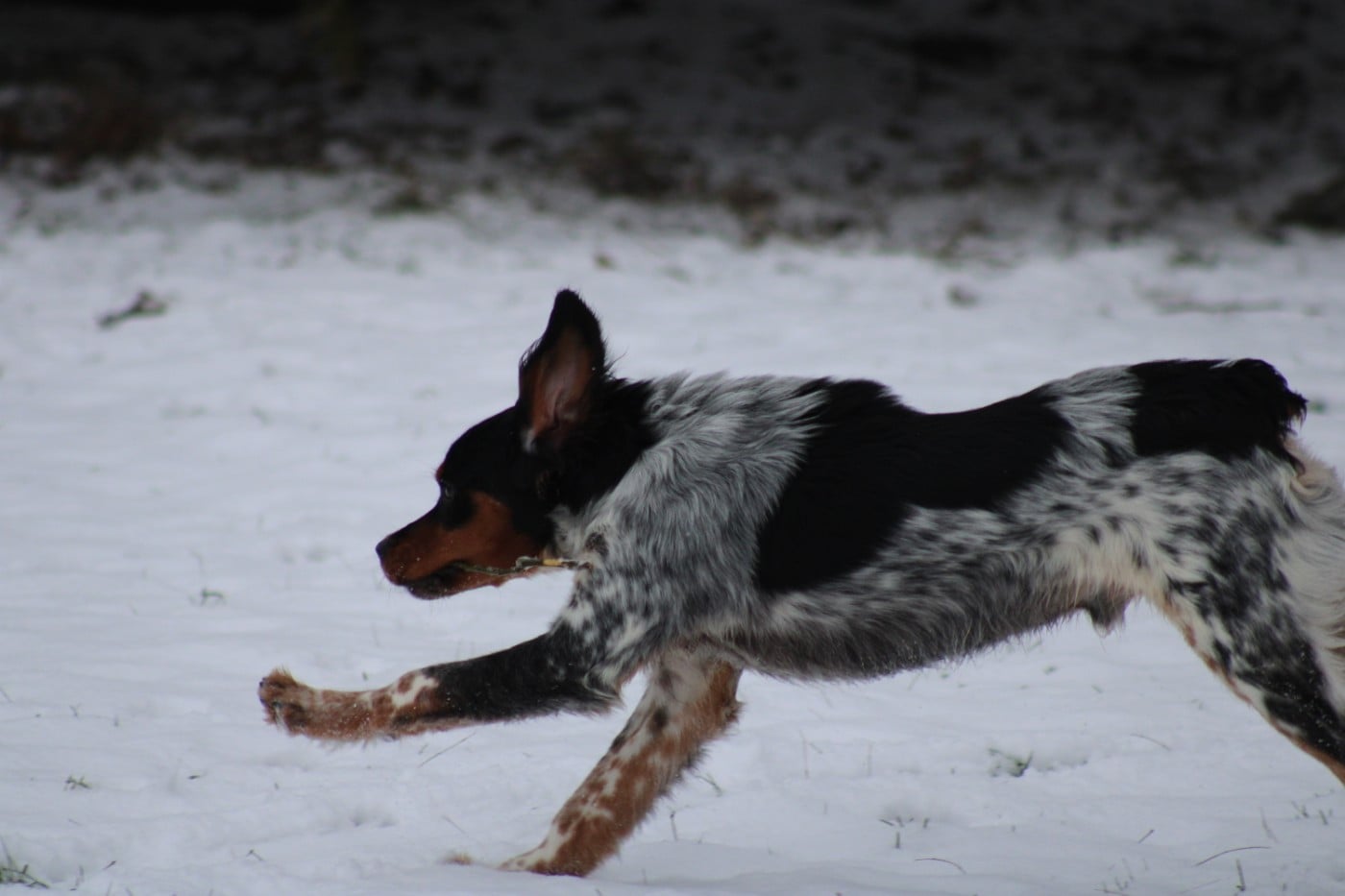 Amos De La Vallée De La Py