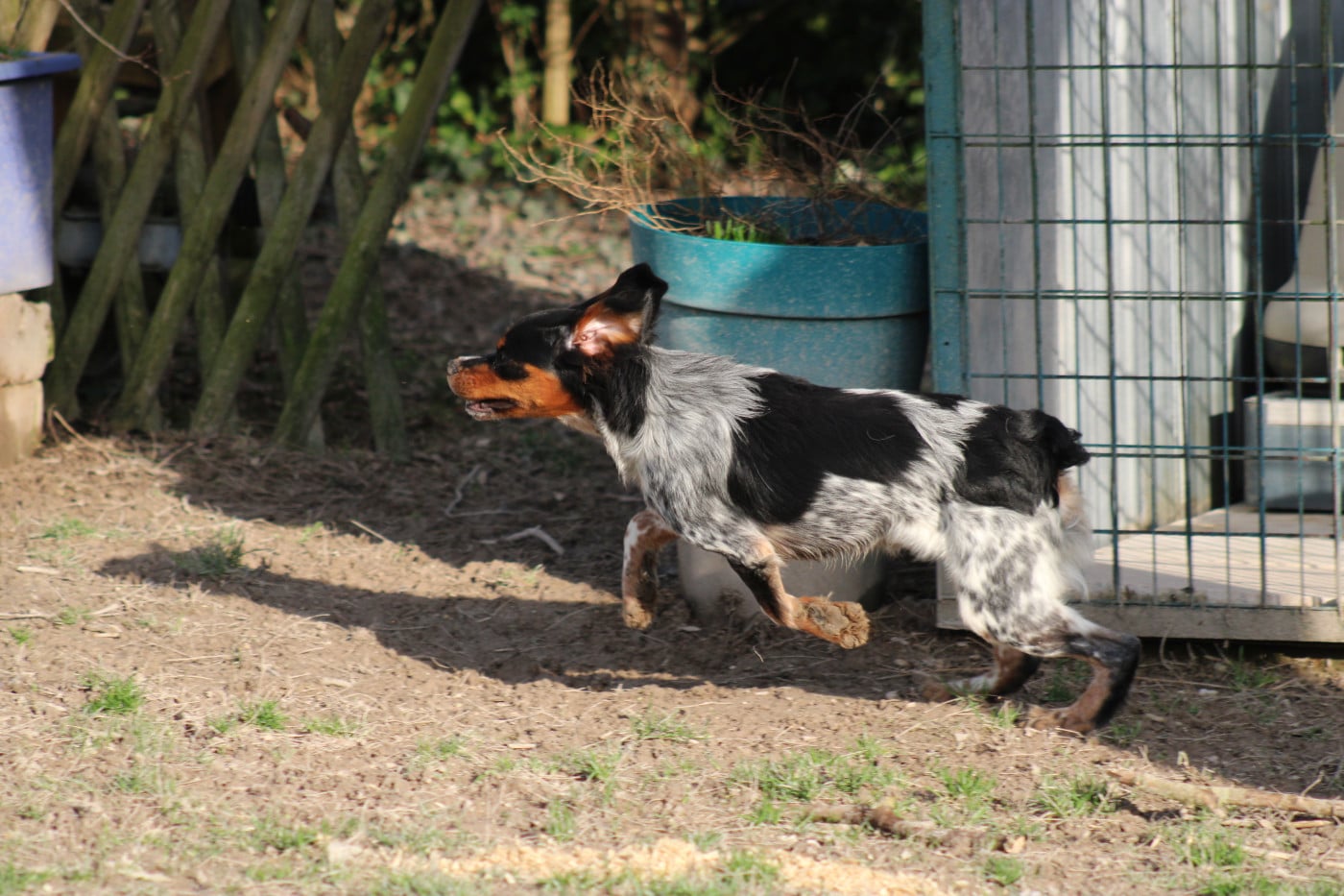 Amos De La Vallée De La Py