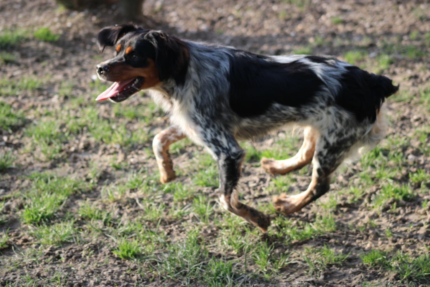 Amos De La Vallée De La Py