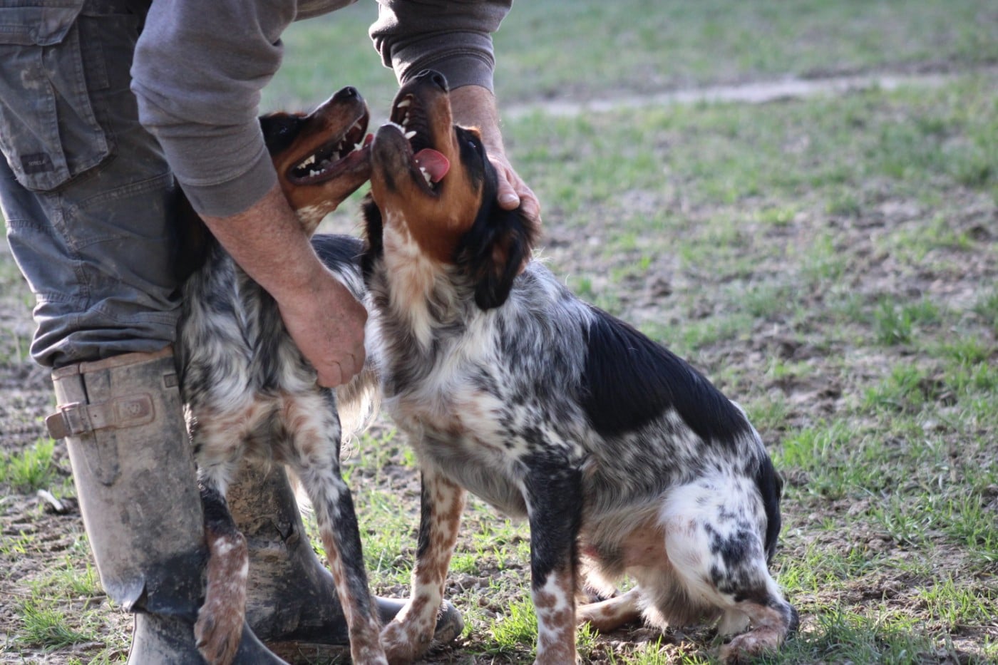 Amos De La Vallée De La Py