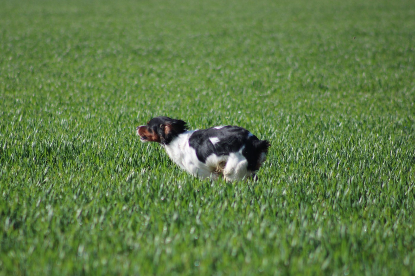 Vidoc De La Vallée De La Py