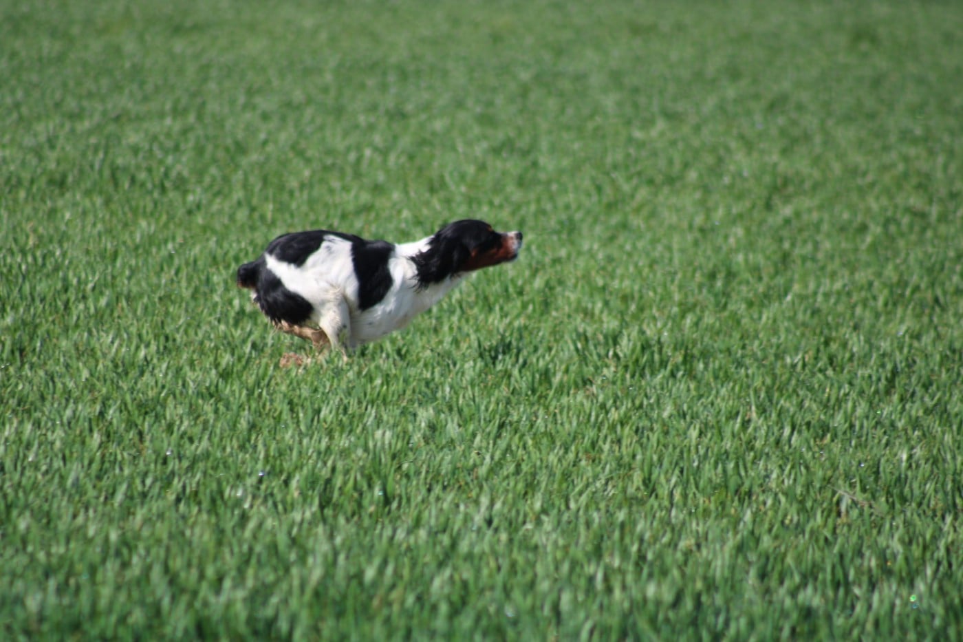 Vidoc De La Vallée De La Py