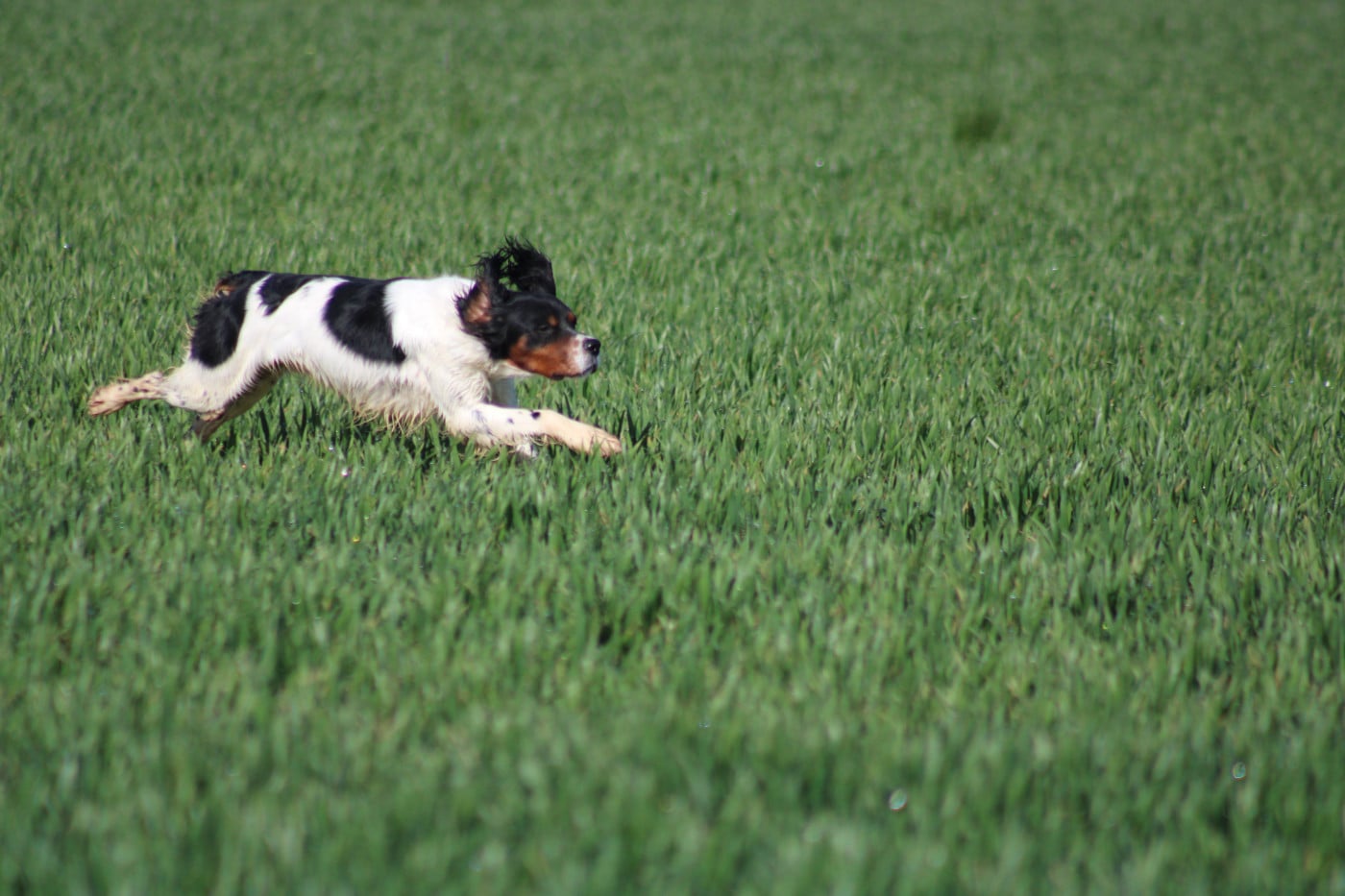 Vidoc De La Vallée De La Py