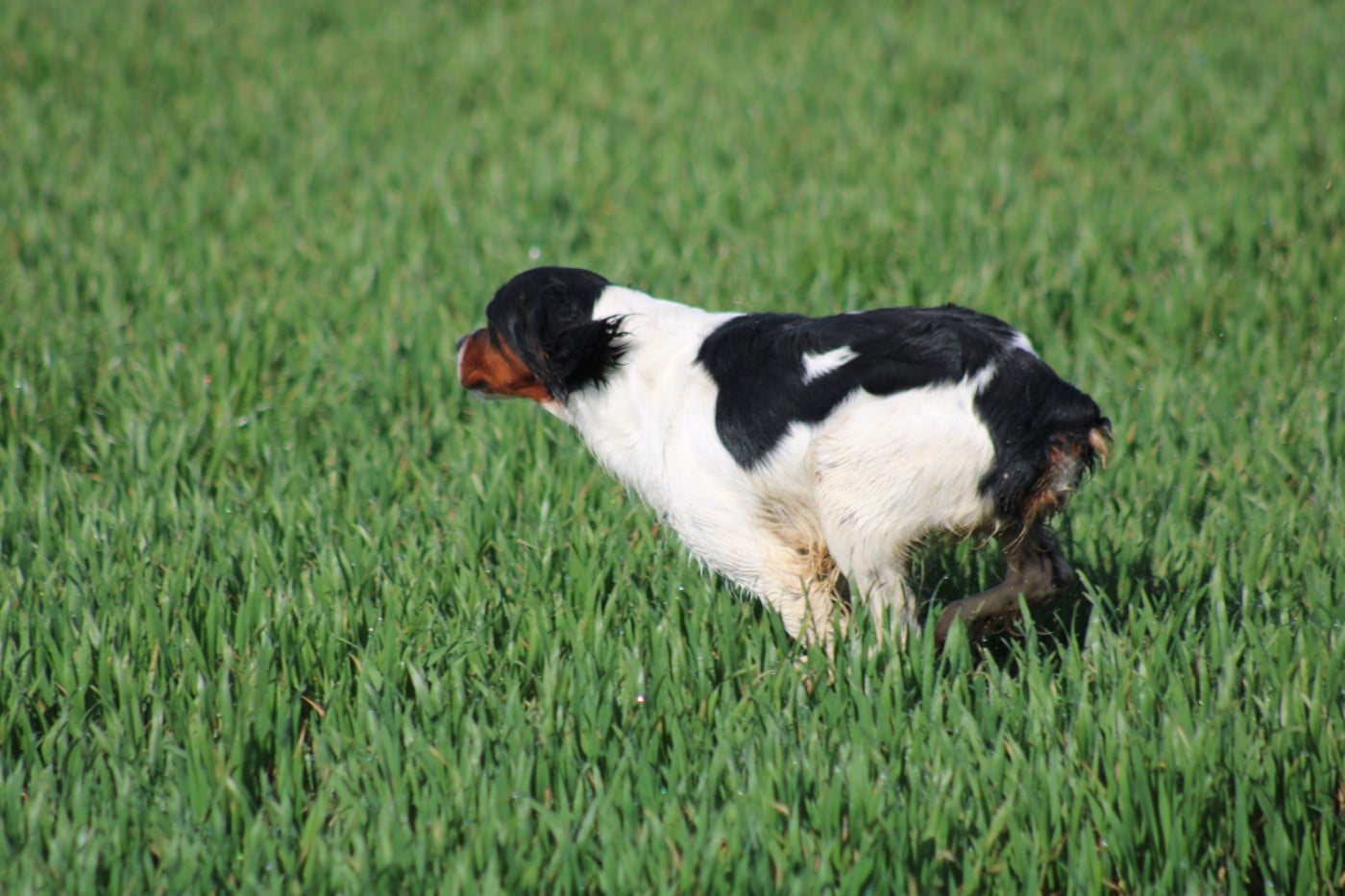 Vidoc De La Vallée De La Py