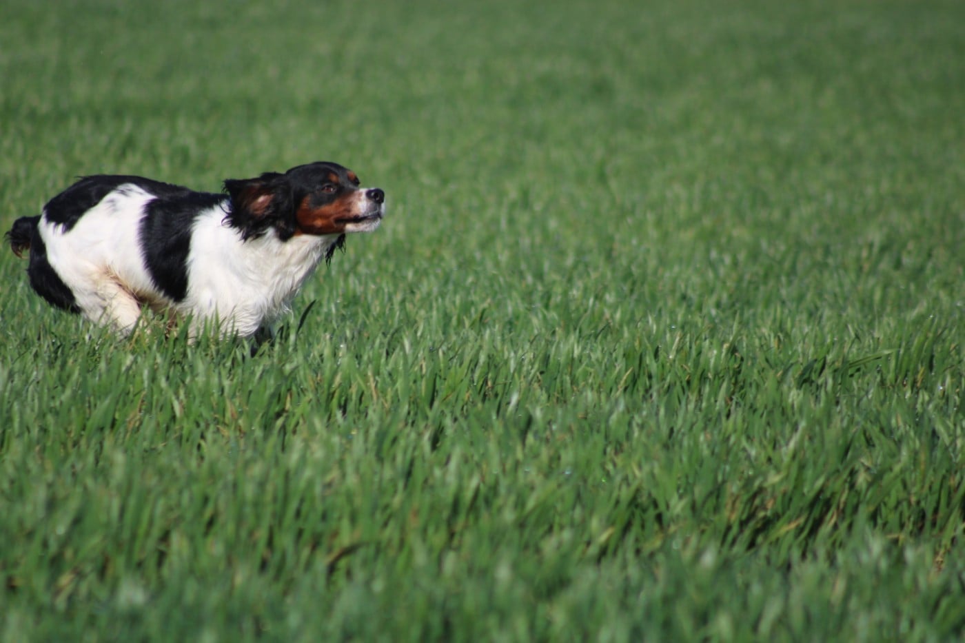 Vidoc De La Vallée De La Py