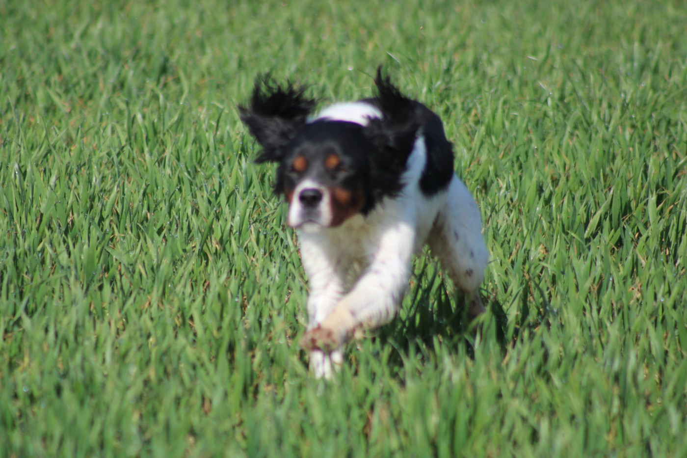 Vidoc De La Vallée De La Py