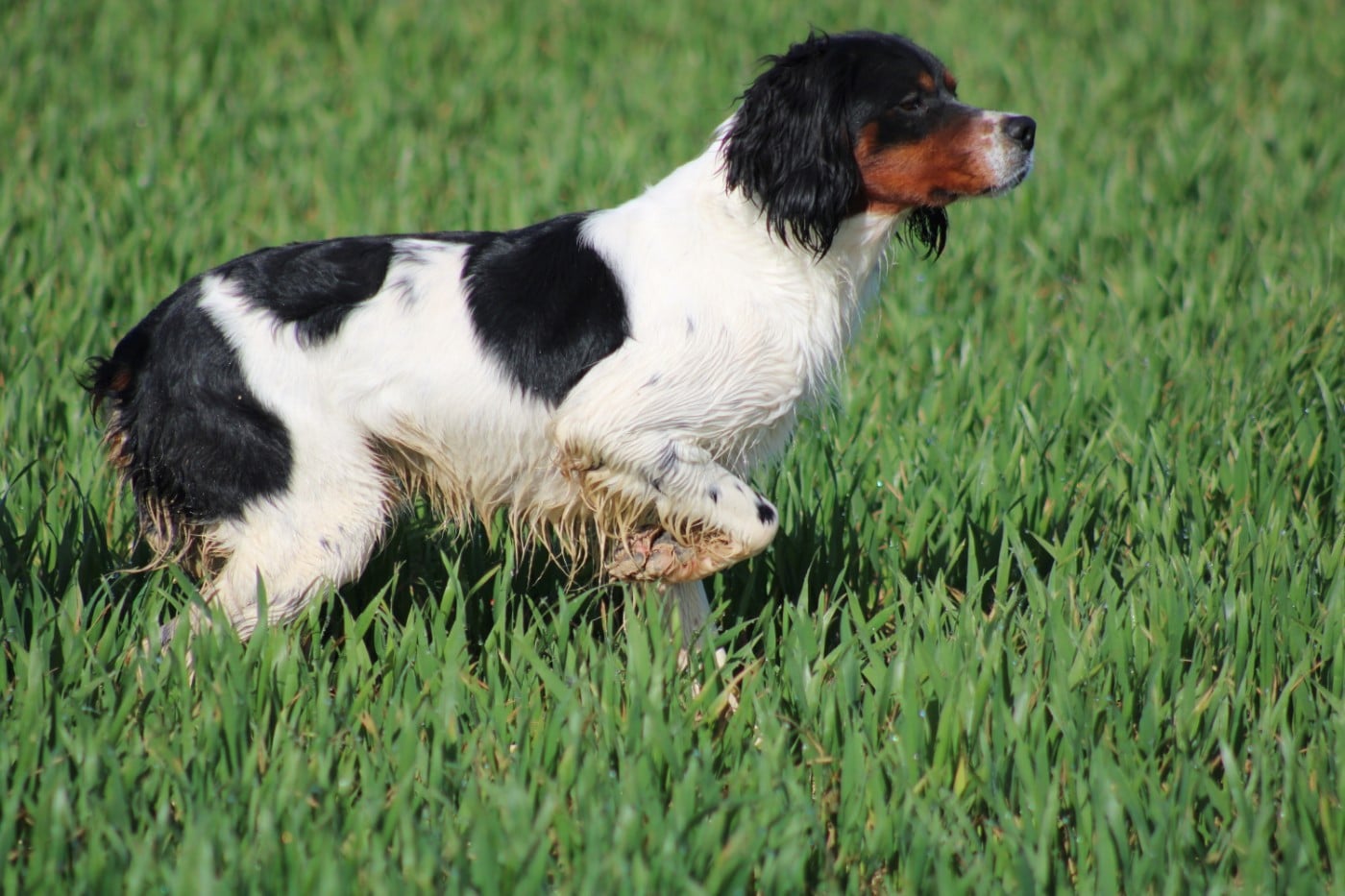 Vidoc De La Vallée De La Py