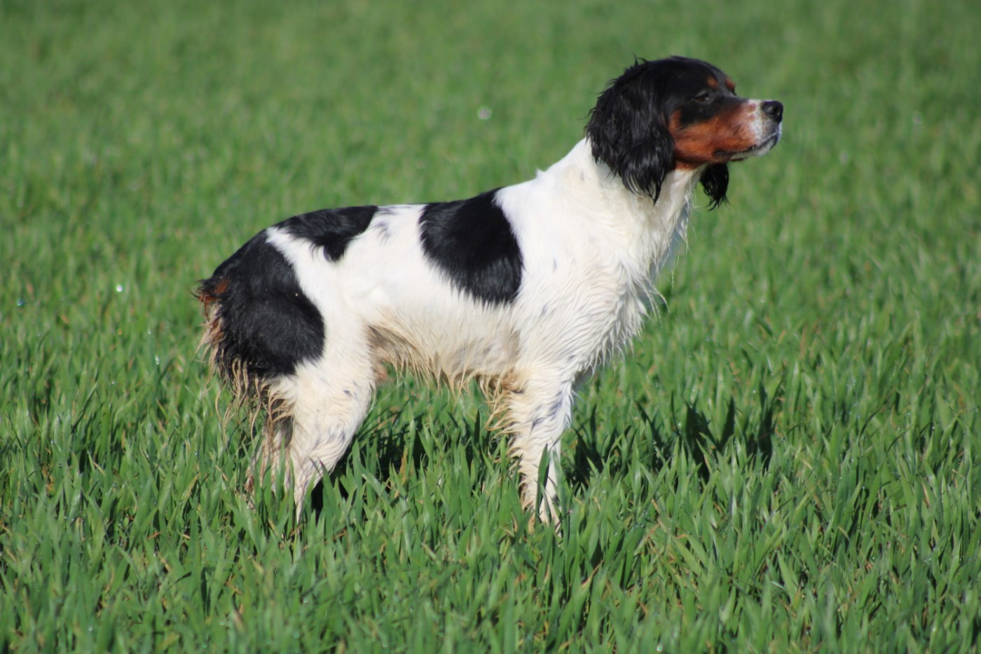 Vidoc De La Vallée De La Py