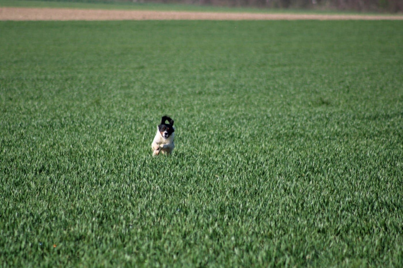 Vidoc De La Vallée De La Py