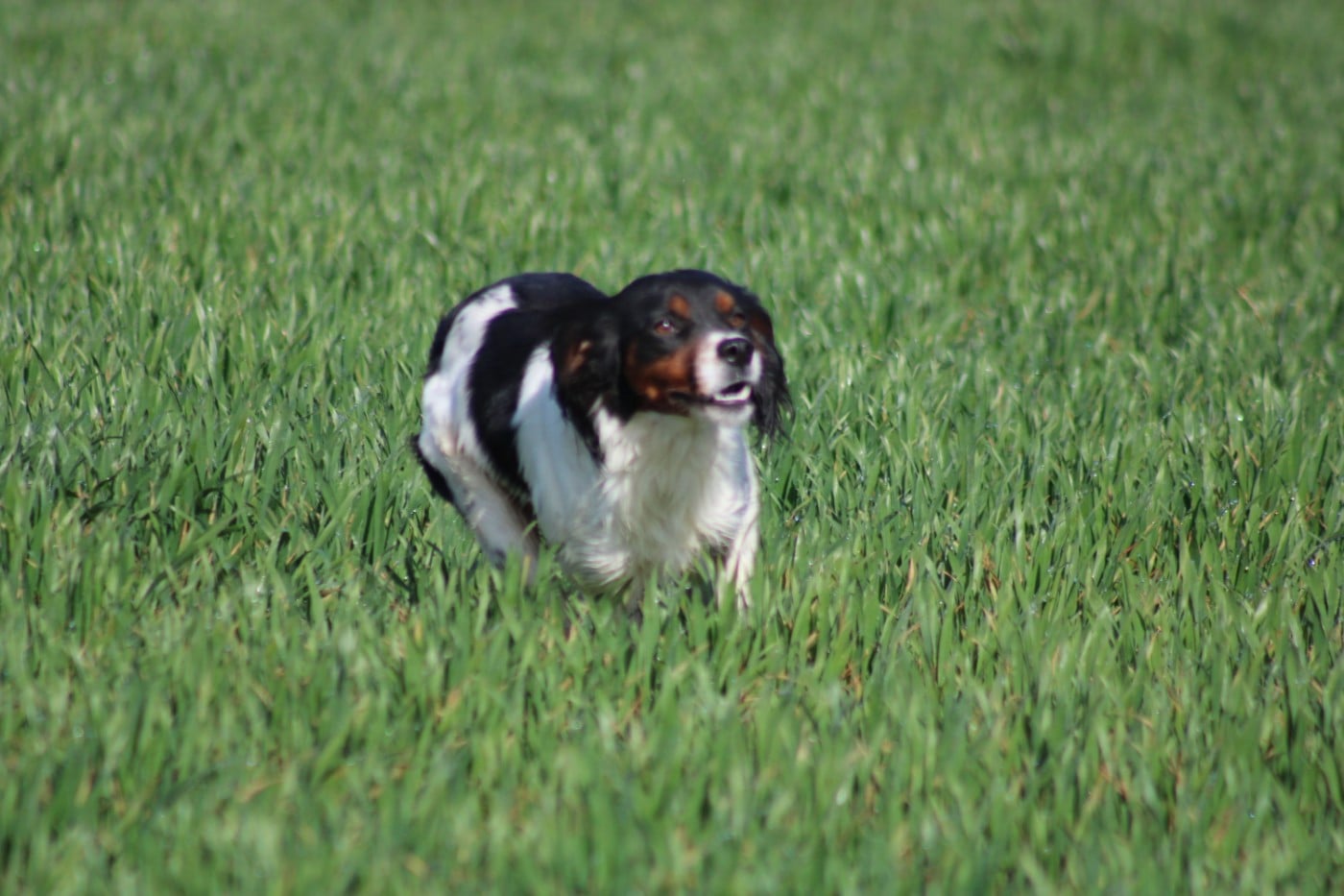 Vidoc De La Vallée De La Py