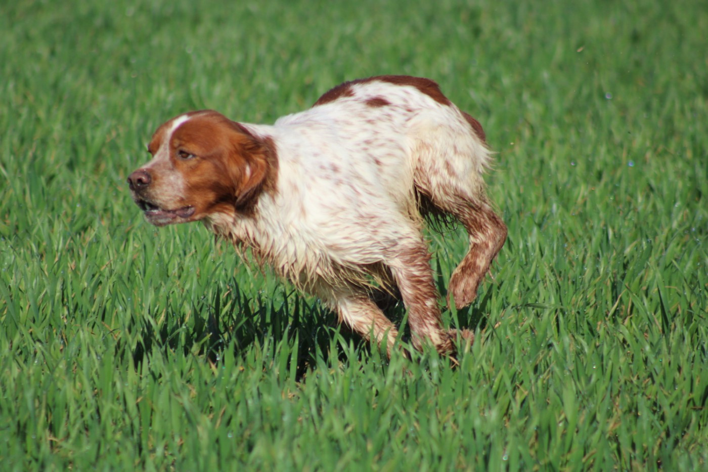 Artus De La Vallée De La Py