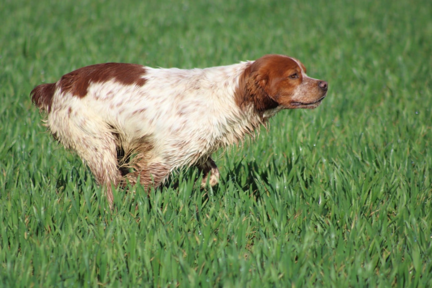 Artus De La Vallée De La Py