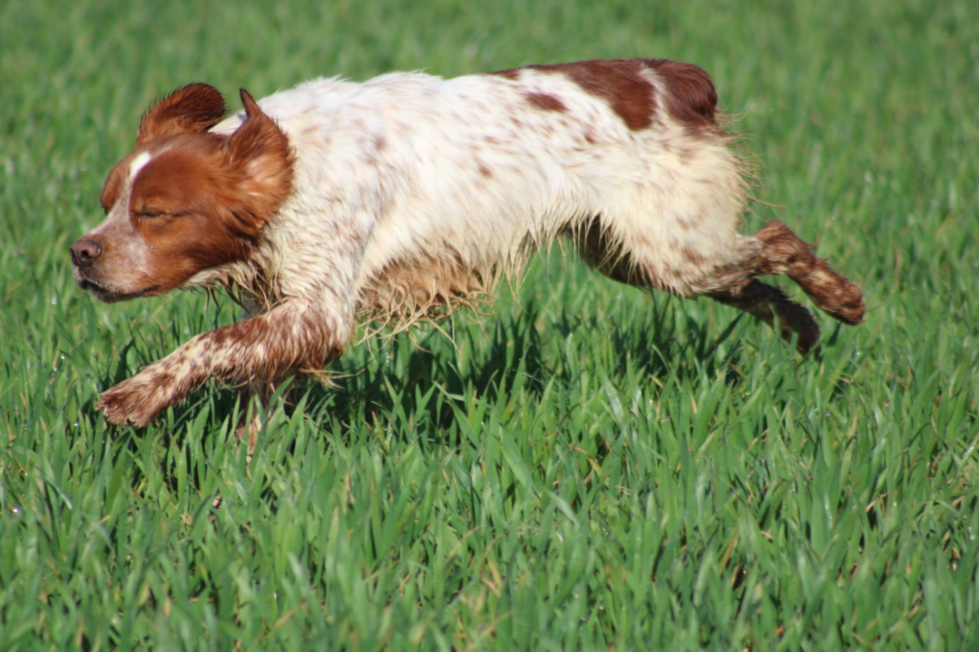 Artus De La Vallée De La Py
