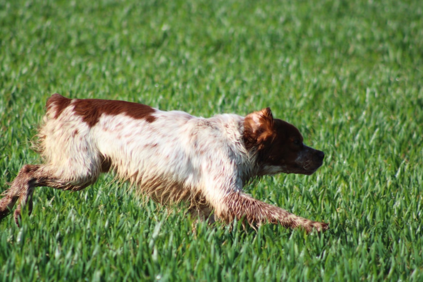 Artus De La Vallée De La Py