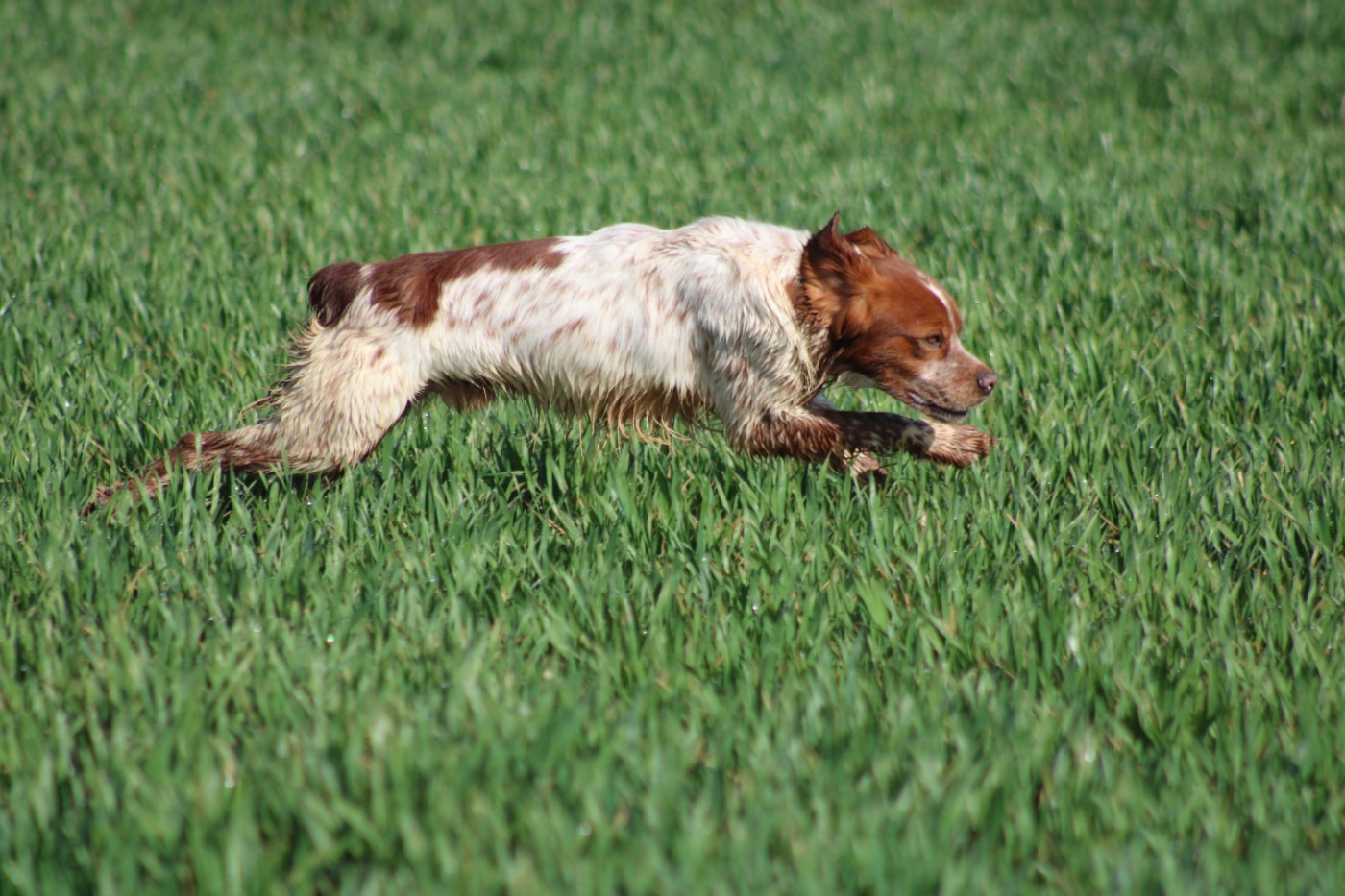 Artus De La Vallée De La Py
