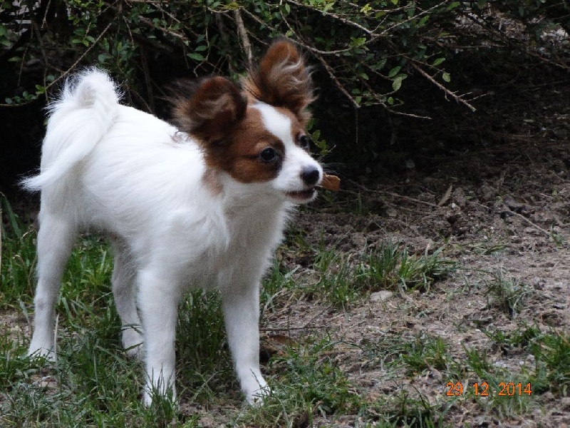 Jepp De La Vallée De La Py