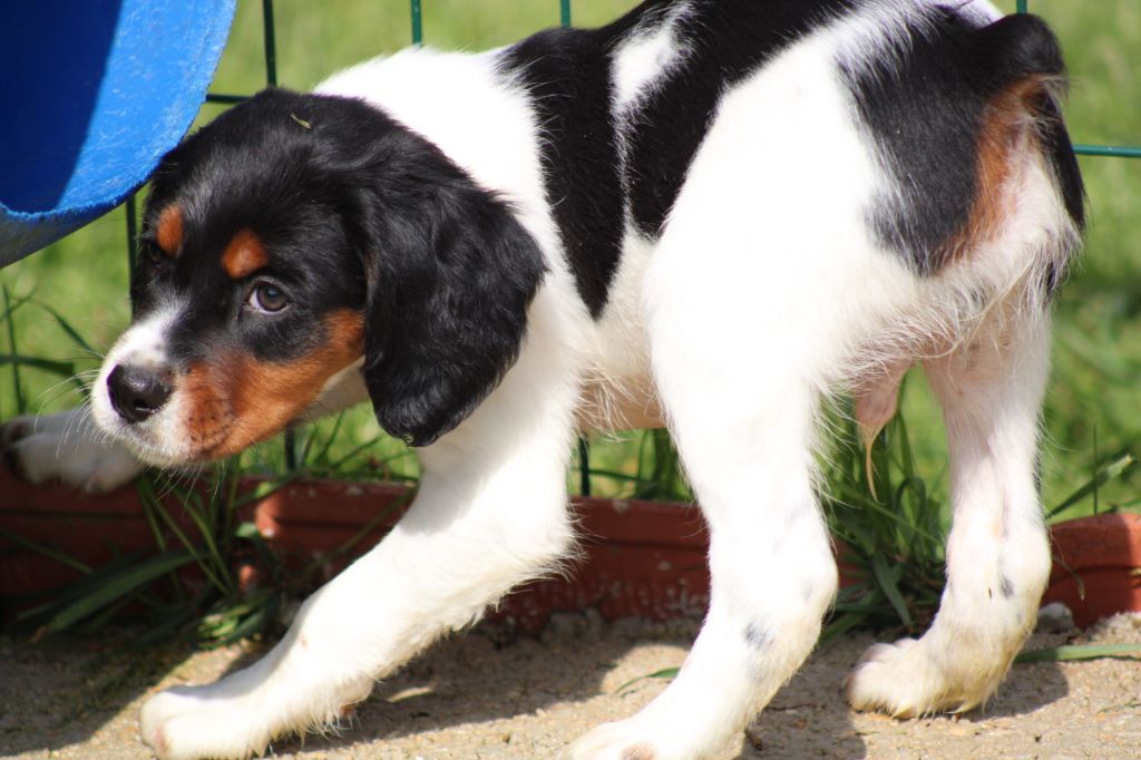 Vidoc De La Vallée De La Py