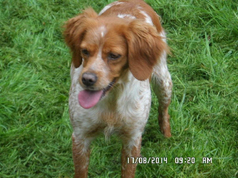 Hulma De La Vallée De La Py