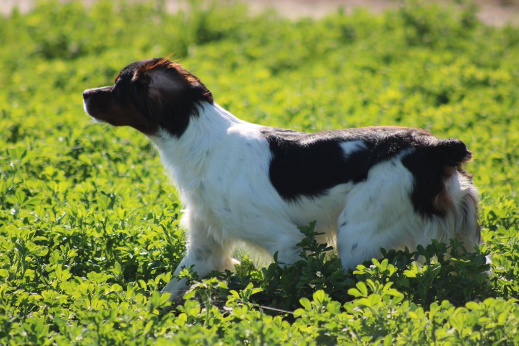 Vidoc De La Vallée De La Py