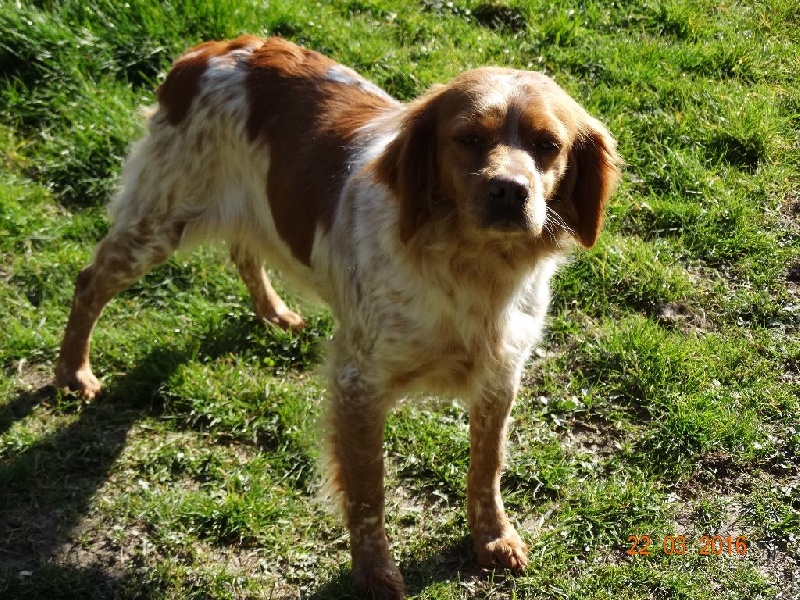 Hulma De La Vallée De La Py