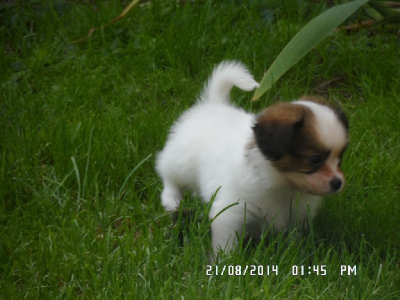 Jepp De La Vallée De La Py