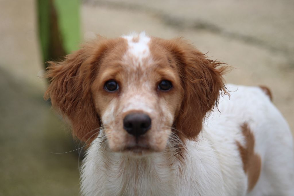 Tcho De La Vallée De La Py