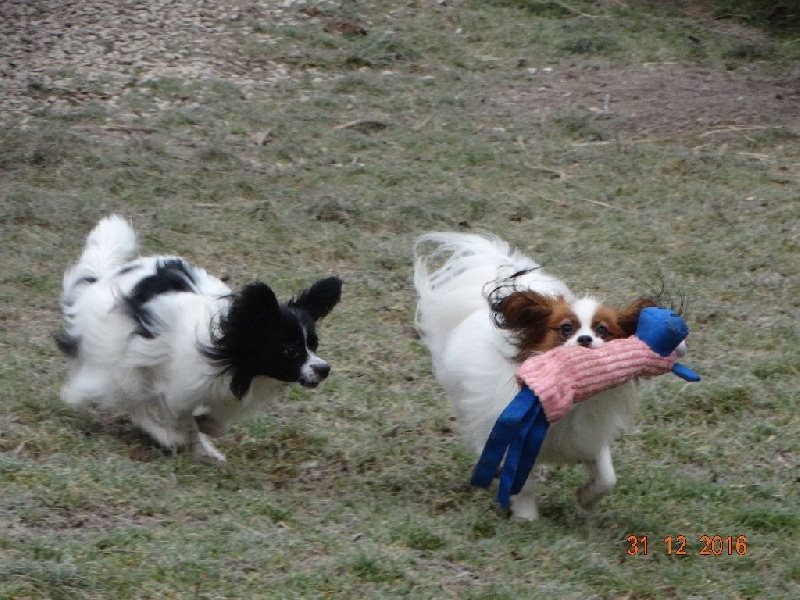 Jepp De La Vallée De La Py