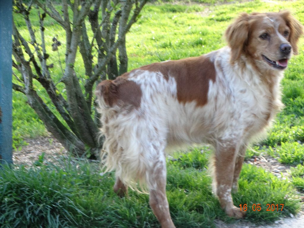 Hulma De La Vallée De La Py