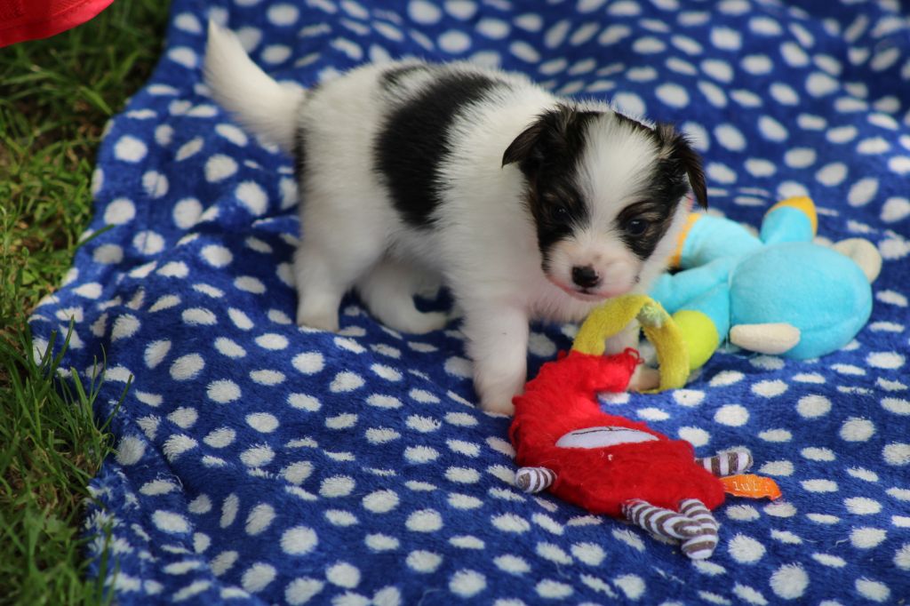 Ricky De La Vallée De La Py