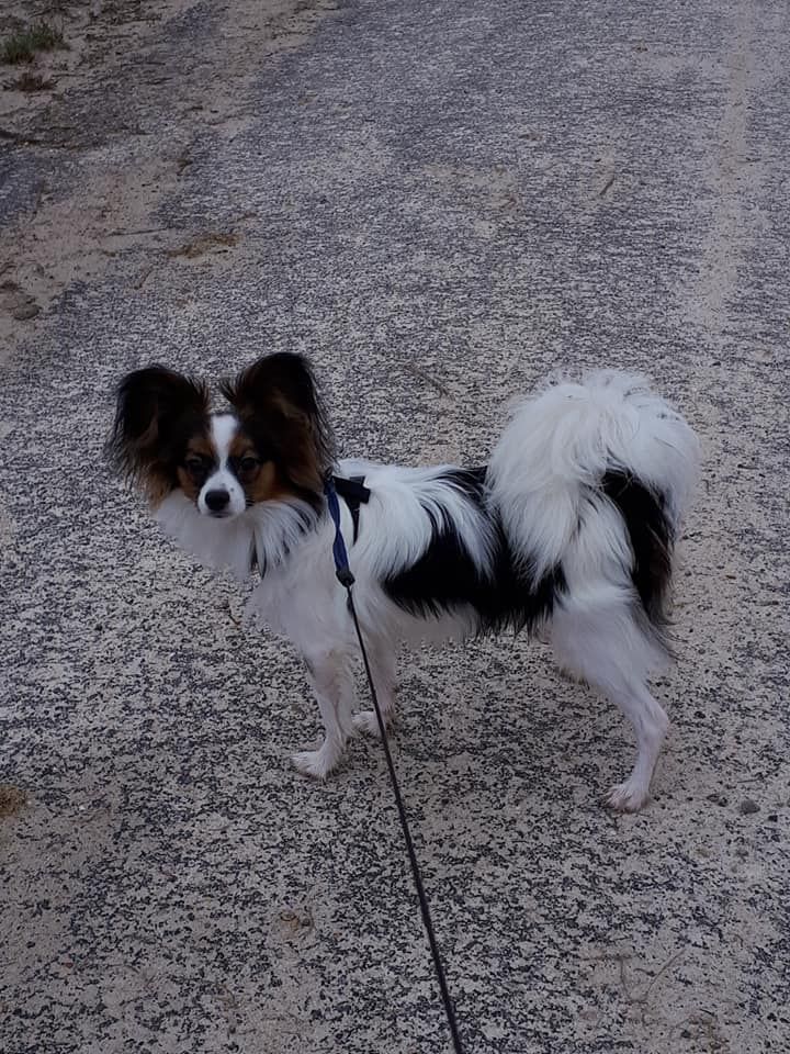 Ricky De La Vallée De La Py