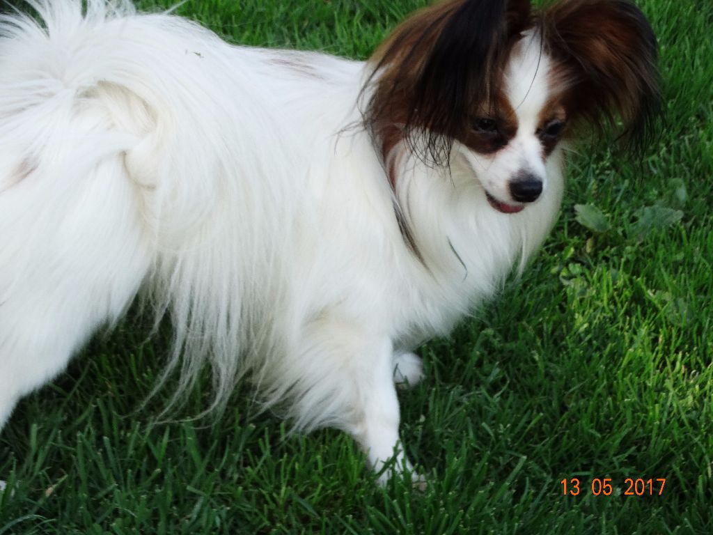 Jepp De La Vallée De La Py