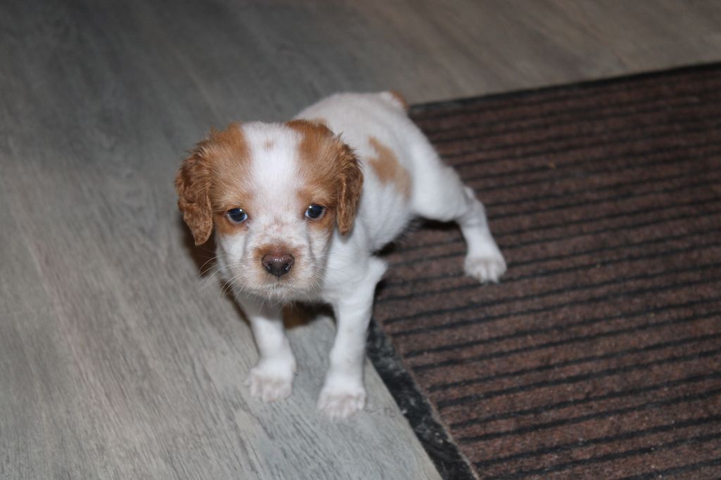 Tcho De La Vallée De La Py