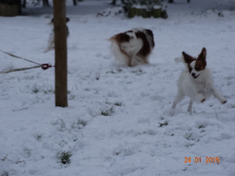 Jepp De La Vallée De La Py