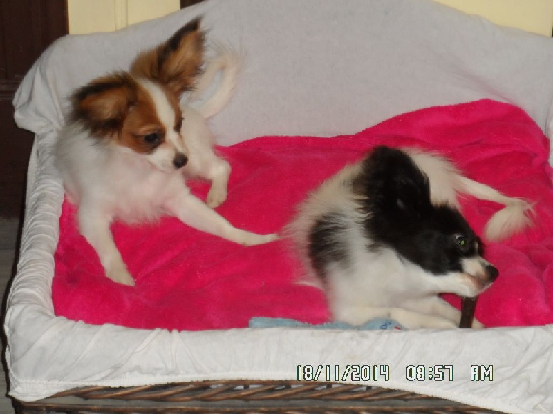 Jepp De La Vallée De La Py