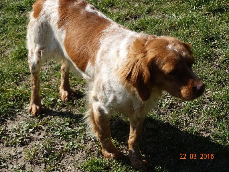 Hulma De La Vallée De La Py