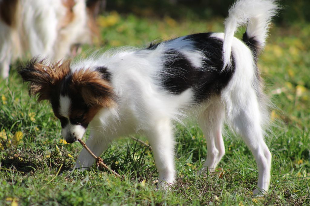 Ricky De La Vallée De La Py
