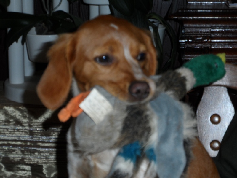 Hulma De La Vallée De La Py