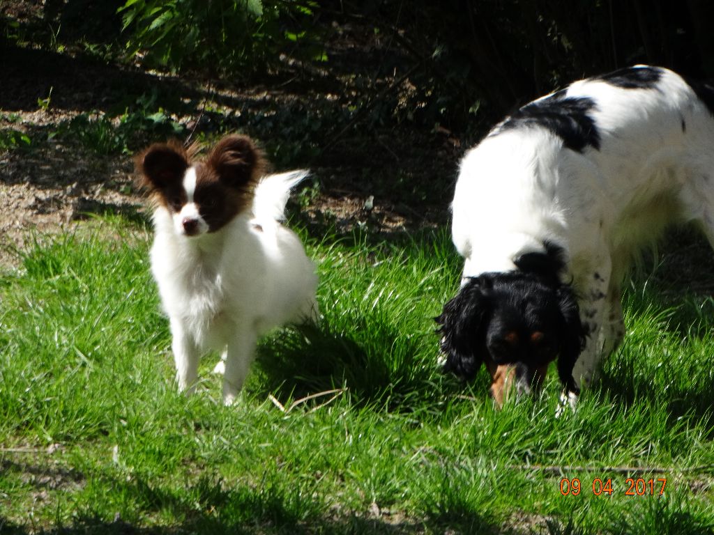 Mirabelle De La Vallée De La Py