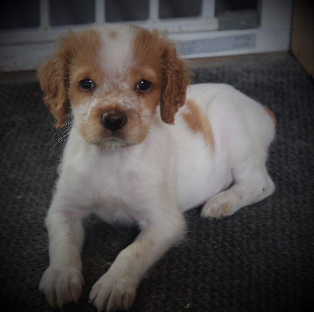 Tcho De La Vallée De La Py