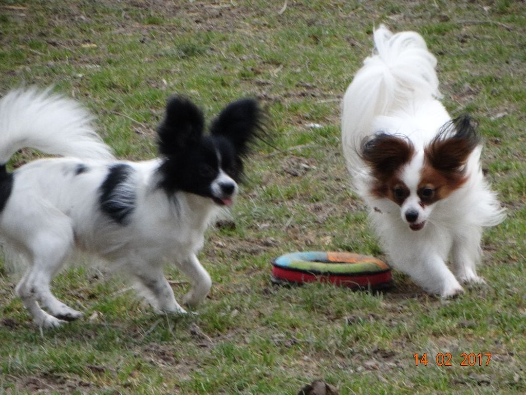 Jepp De La Vallée De La Py