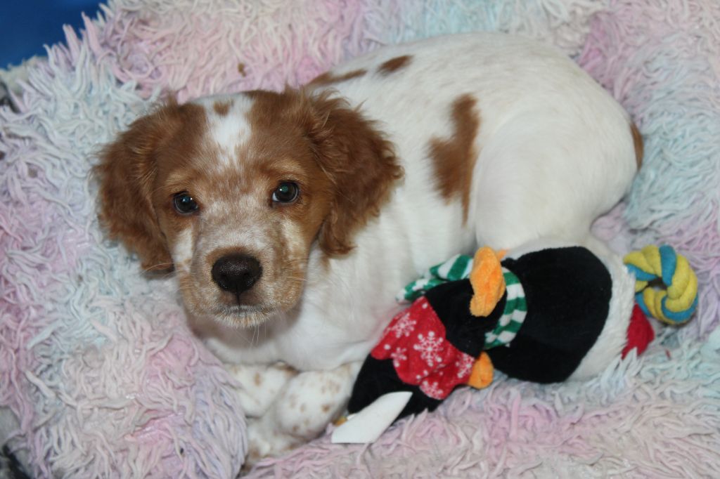 Tcho De La Vallée De La Py