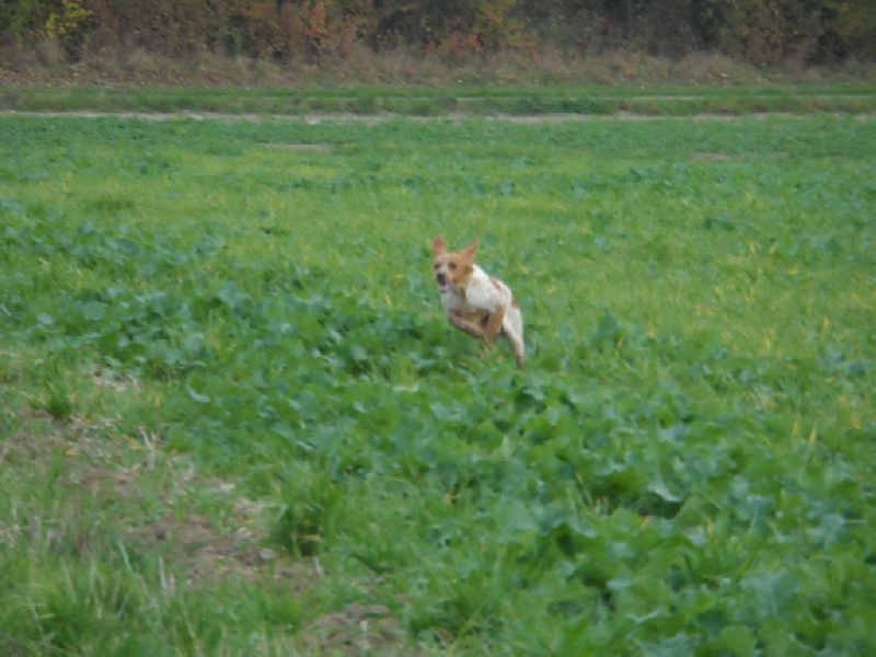 Hulma De La Vallée De La Py