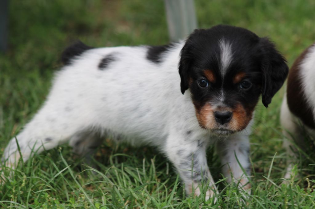 Publication : De La Vallée De La Py